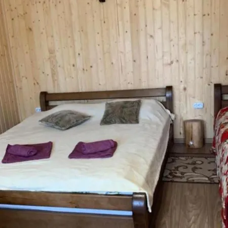 Viv Guest house *